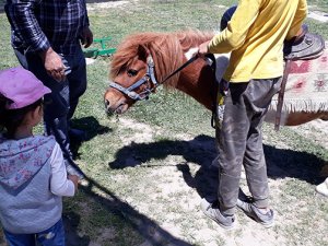 Fiziksel ve zihinsel engelli çocuklara at üzerinde tedavi