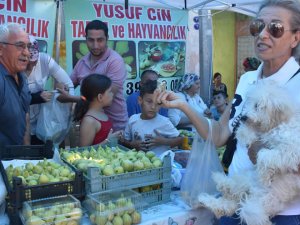 Torbalı Bardacık İnciri Festivali'nde üretici bayramı