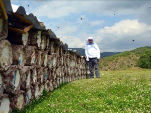 45 ülkeye 5 bin 548 ton bal ihracatı yapıldı