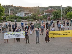 Zeytin Ağaçları Geleceğimiz, Jeotermal İstemeyiz! 