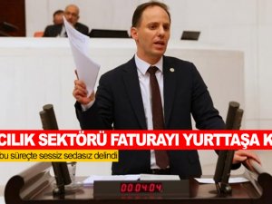 Havacılık sektörü faturayı yurttaşa kesti