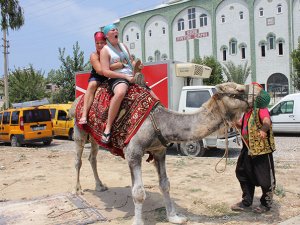 Deveciler, deveye hendek atlatmakta zorlandı