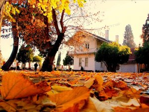 Kültür ve Turizm Bakanlığının 'prestij müzesi' olacak