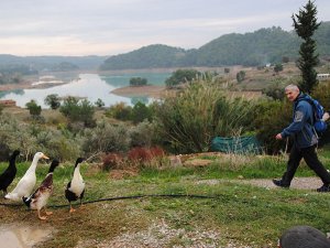 Antalya'da ormanlara giriş ve çıkışlar 1 Eylül'e kadar yasaklandı