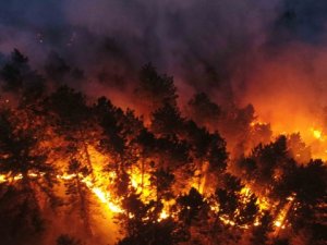 Köyceğiz'de gece saatlerinde alevler yeniden yükseldi