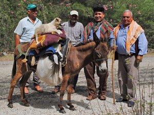 Ormanların korunması köylülere ve yörüklere verilmeli