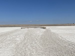 Flamingoların uğrak noktası Akgöl tamamen kurudu