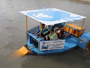 Boğaçayı'na Mavi Yengeç bırakıldı