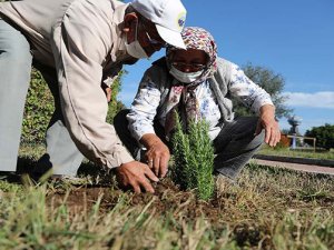 Alzheimer hastalarına toprakla barışık yaşam