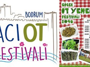 Bodrum ve Göcek’te ot festivalleri başlıyor