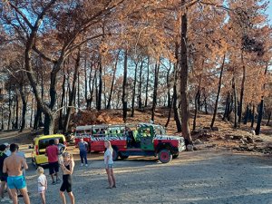 Yanan ormanlarda 21 bin turist jeep safari turuna çıktı