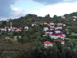 Lav sütünlarıyla ünlü Güzelcehisar turizm için süsleniyor