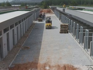 Sokak hayvanları için Bakım Evi yapılıyor