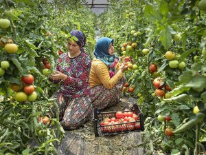 Tarladan Sofraya Kültürel Mirasımız” konulu fotoğraf yarışması