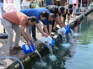 Demre'de 15 bin levrek ve çipura yavrusu denize bırakıldı