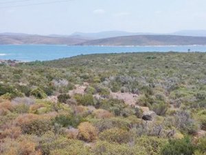 Sit'ten çıkartılan bölgeye otel izni verildi