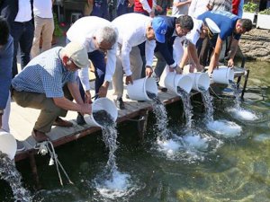 Bodrum'da 30 Bin Balık Yavrusu Denize Bırakıldı