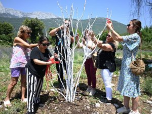 Gedelme Yaylası'nda mor turizm turları başladı