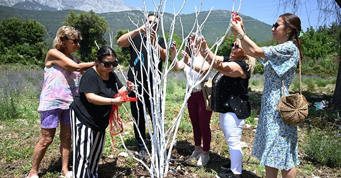 Gedelme Yaylası'nda mor turizm turları başladı