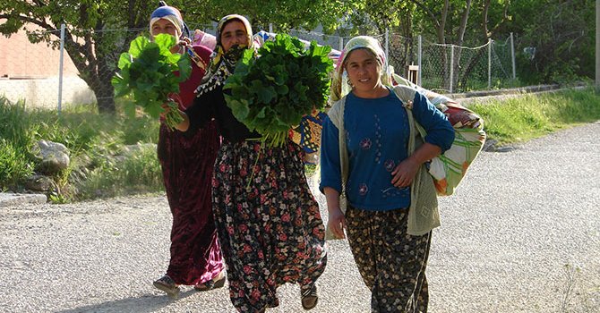 Petrole gelen fahiş zamlar bohçacılığı bitirdi