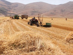 Tarımda planlı üretim devri dün resmen başladı.