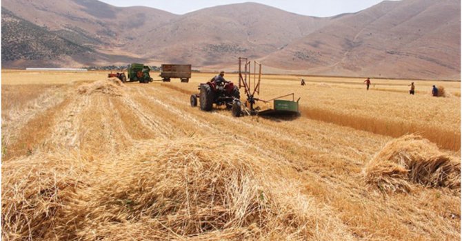 Tarımda planlı üretim devri dün resmen başladı.