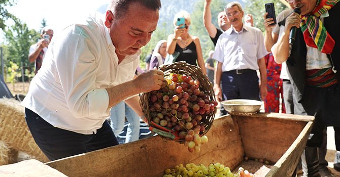 Antalya Gastronomi Festivali’nde mor üzüm hasadı