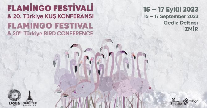 Türkiye’nin ilk Flamingo Festivali yapılıyor