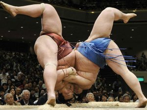 Japan Airlines, sumo güreşçileri için ekstra uçuş ekledi