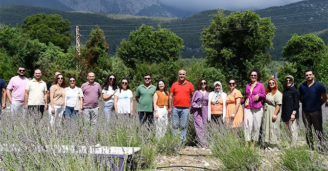 Gedelme Yaylası'nın lavanta bahçesi turistlerin gözdesi oldu