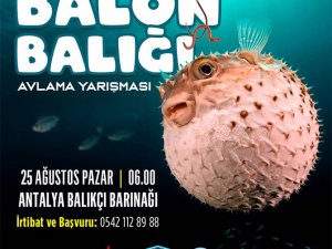 Antalya'da Balon balığı avlayanlara ödül