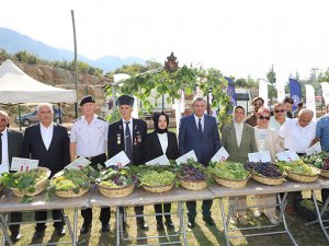 Festivalde en güzel üzümler yarıştı