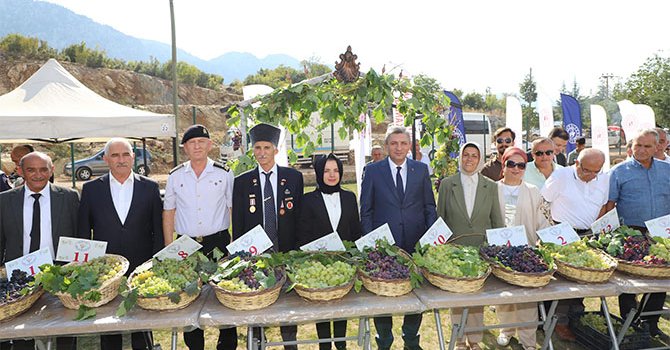 Festivalde en güzel üzümler yarıştı