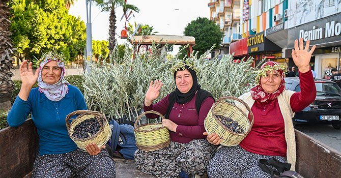 Manavgat'ta 1. Zeytin ve Zeytinyağı Festivali 