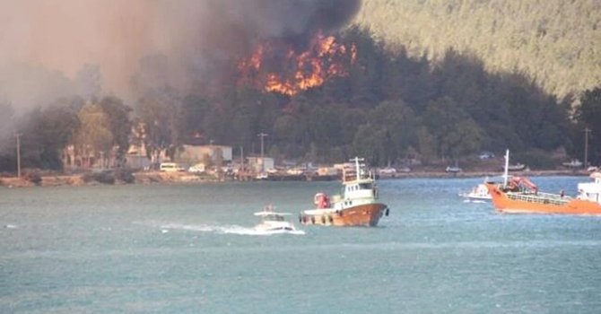 Bodrum'daki Pina Yarımdası neden yandı?