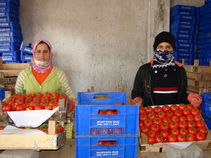 Suriyeliler ülkelerine geri dönmeyi düşünmüyor!