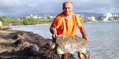 Ölü Caretta Caretta bulundu