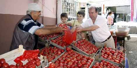 Osmanlı domatesi gözde oldu