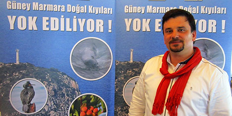 Marmara'daki foklar tehlikede