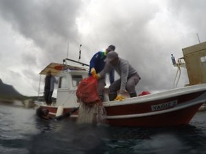 Bodrum Belediyesi “Denize en çok mavi yakışır”