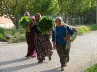 Bohçacılarin ‘hırsız’ gibi görülmesi bohçacılığı bitirdi