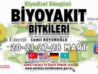 Antalya'da bitkiden enerji üretilecek!