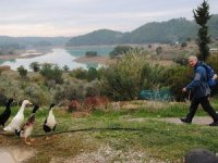 Antalya'da ormanlara giriş ve çıkışlar 1 Eylül'e kadar yasaklandı