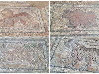 Osmaniye'de Roma dönemi mozaikleri gün yüzüne çıkarılıyor