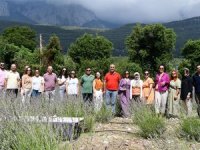 Gedelme Yaylası'nın lavanta bahçesi turistlerin gözdesi oldu