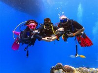 Kaş dalış turizminde cazibe merkezi oldu.