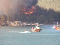 Bodrum'daki Pina Yarımdası neden yandı?