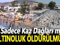 Sadece Kaz Dağları mı, Altınoluk öldürülmüş!