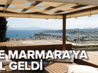 The Marmaraya stil danışmanlığı