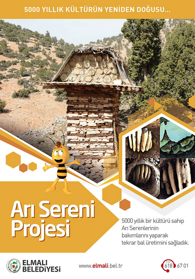 ari-serenleri-006.jpg